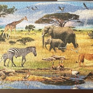 SOLD! RAVENSBURGER 1,000pc Puzzle w/ Video-Animation!